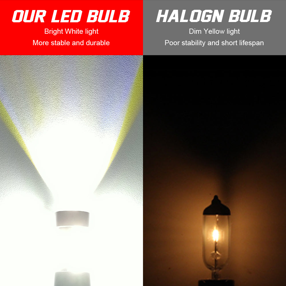 H11 LED Fog Light Bulbs
